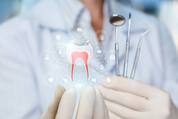 Best Traditional Braces  in Hettinger, ND
